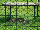 DSCF8024