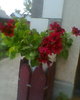 Fotogr.0115