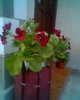 Fotogr.0116