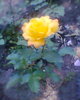 Fotogr.0143