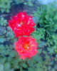 Fotogr.0148