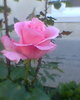 Fotogr.0150