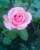 Fotogr.0151