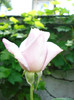 DSC07302