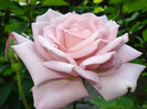 DSC07300