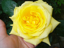 DSC07287