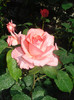DSC07549
