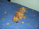 DSC01778