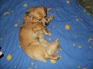 DSC01779
