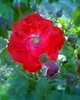 Fotogr.0180