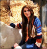 •MilSs(25)