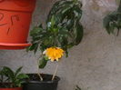 Picture 038
