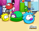 0213_puffle_furniture_lg