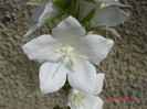 DSC01640