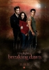 the-twilight-saga-breaking-dawn-part-1-movie-download