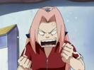 karin