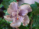 P1070388