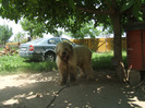 DSCF3506