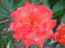 032