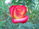 033