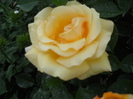 039