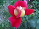 042