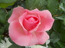 044