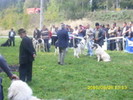 ilisesti 2010 9