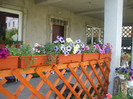 jardiniere sfarsit mai