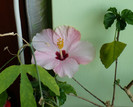 P1340255