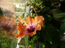 P1340266