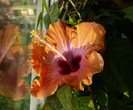 P1340267