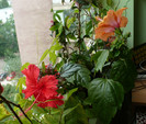 P1340276