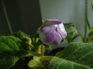 DSC02940