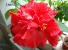 DSC02522