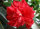 DSC02524