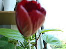 DSC02809