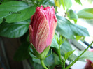 DSC02811