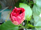 DSC02812