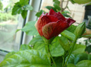DSC02819