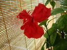 DSC02840
