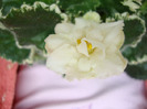 DSC02753