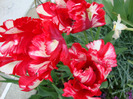 DSC02769