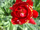 DSC02803