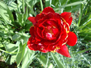 DSC02804
