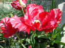 DSC02805