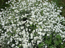 DSC02841