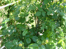 DSC02845
