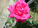DSC02889