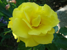 DSC02890